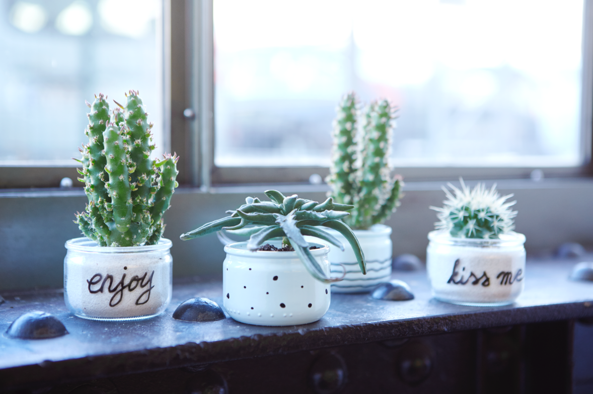 Personnalisez vos petits pots de crème La Laitière